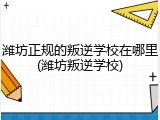潍坊正规的叛逆学校在哪里(潍坊叛逆学校)
