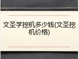 文圣学挖机多少钱(文圣挖机价格)