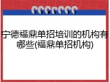 宁德福鼎单招培训的机构有哪些(福鼎单招机构)