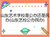 山东艺术学校是公办还是民办(山东艺校公办民办)