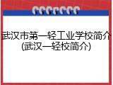 武汉市第一轻工业学校简介(武汉一轻校简介)