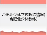 合肥北少林学校教练情况(合肥北少林教练)