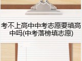 考不上高中中考志愿要填高中吗(中考落榜填志愿)