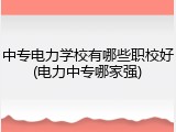 中专电力学校有哪些职校好(电力中专哪家强)
