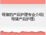 母猪的产后护理专业介绍(母猪产后护理)
