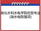 湖北水利水电学院优势专业(湖水电院强项)