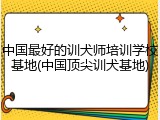 中国最好的训犬师培训学校基地(中国顶尖训犬基地)