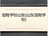 宠物学校山东(山东宠物学校)