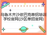 乌鲁木齐沙依巴克单招培训学校官网(沙区单招官网)
