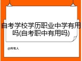 自考学校学历职业中学有用吗(自考职中有用吗)