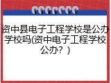 资中县电子工程学校是公办学校吗(资中电子工程学校公办？)