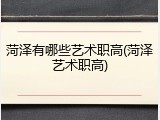 菏泽有哪些艺术职高(菏泽艺术职高)