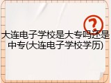 大连电子学校是大专吗还是中专(大连电子学校学历)