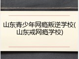 山东青少年网瘾叛逆学校(山东戒网瘾学校)