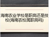 海南农业学校是职高还是技校(海南农校属职高吗)