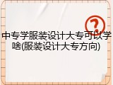 中专学服装设计大专可以学啥(服装设计大专方向)