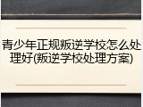 青少年正规叛逆学校怎么处理好(叛逆学校处理方案)