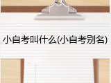 小自考叫什么(小自考别名)