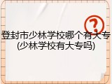 登封市少林学校哪个有大专(少林学校有大专吗)
