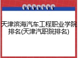天津滨海汽车工程职业学院排名(天津汽职院排名)