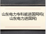 山东电力专科能进国网吗(山东电力进国网)