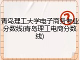 青岛理工大学电子商务专业分数线(青岛理工电商分数线)