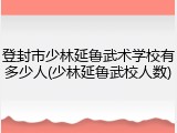 登封市少林延鲁武术学校有多少人(少林延鲁武校人数)