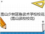 嵩山少林延鲁武术学校校花(嵩山武校校花)