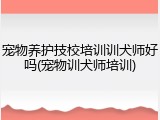 宠物养护技校培训训犬师好吗(宠物训犬师培训)