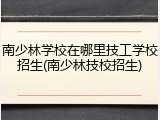 南少林学校在哪里技工学校招生(南少林技校招生)