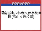 河南嵩山少林寺文武学校官网(嵩山文武校网)