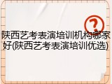 陕西艺考表演培训机构哪家好(陕西艺考表演培训优选)