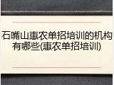 石嘴山惠农单招培训的机构有哪些(惠农单招培训)