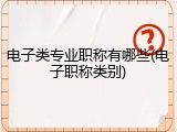 电子类专业职称有哪些(电子职称类别)