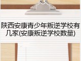 陕西安康青少年叛逆学校有几家(安康叛逆学校数量)