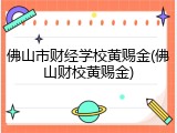 佛山市财经学校黄赐金(佛山财校黄赐金)