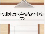 华北电力大学校花(华电校花)