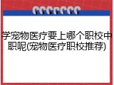 学宠物医疗要上哪个职校中职呢(宠物医疗职校推荐)