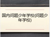 国内问题少年学校(问题少年学校)
