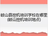 岐山县挖机培训学校在哪里(岐山挖机培训地点)