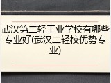 武汉第二轻工业学校有哪些专业好(武汉二轻校优势专业)