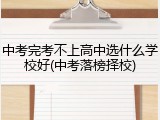 中考完考不上高中选什么学校好(中考落榜择校)
