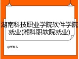 湖南科技职业学院软件学院就业(湘科职软院就业)