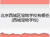 北京西城区宠物学校有哪些(西城宠物学校)