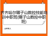 齐齐哈尔碾子山数控技能培训中职班(碾子山数控中职班)