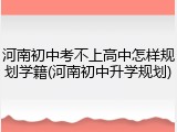 河南初中考不上高中怎样规划学籍(河南初中升学规划)