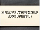 科尔沁挖机学校排名(科尔沁挖机学校排行)
