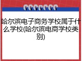 哈尔滨电子商务学校属于什么学校(哈尔滨电商学校类别)