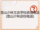 嵩山少林文武学校咨询电话(嵩山少林武校电话)