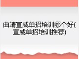 曲靖宣威单招培训哪个好(宣威单招培训推荐)